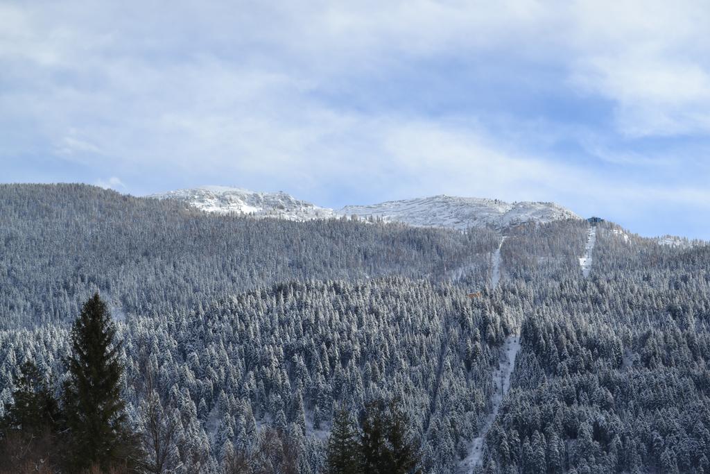 Appartamenti La Val Andalo Extérieur photo